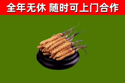 凯里烟酒回收冬虫夏草.jpg